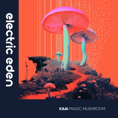 Kaai - Magic Mushroom [EER170]